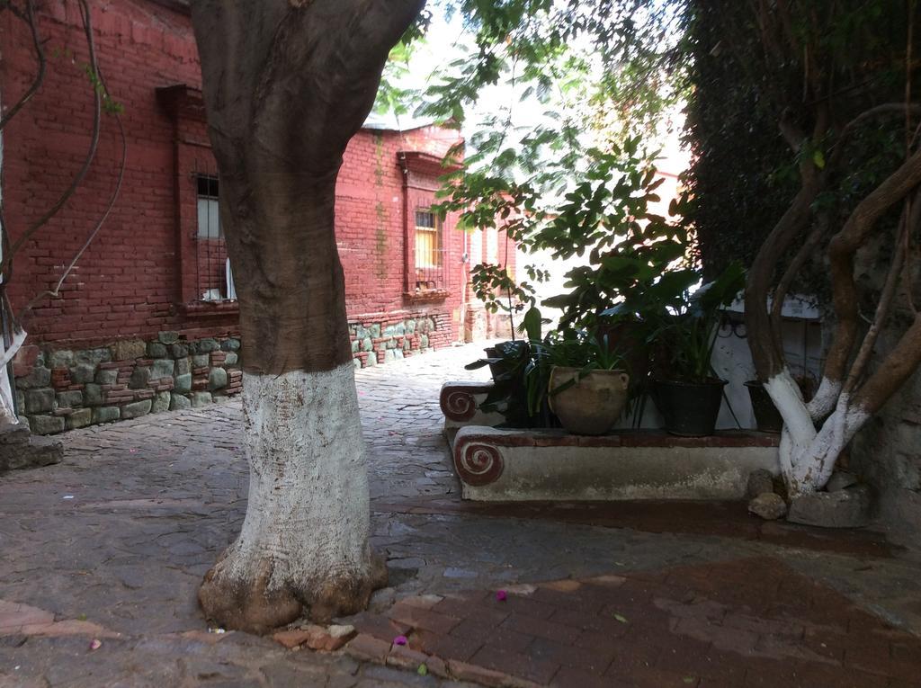 Villa Casa Mixteca Santo Domingo Oaxaca Exterior foto